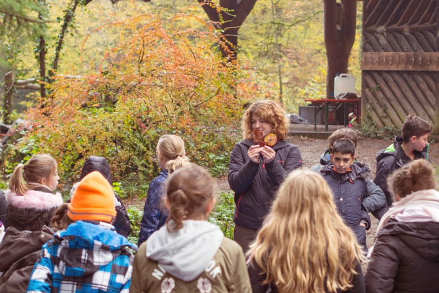 Klimapflanzschule: Umweltbildungsprojekt der Stiftung Waldhaus