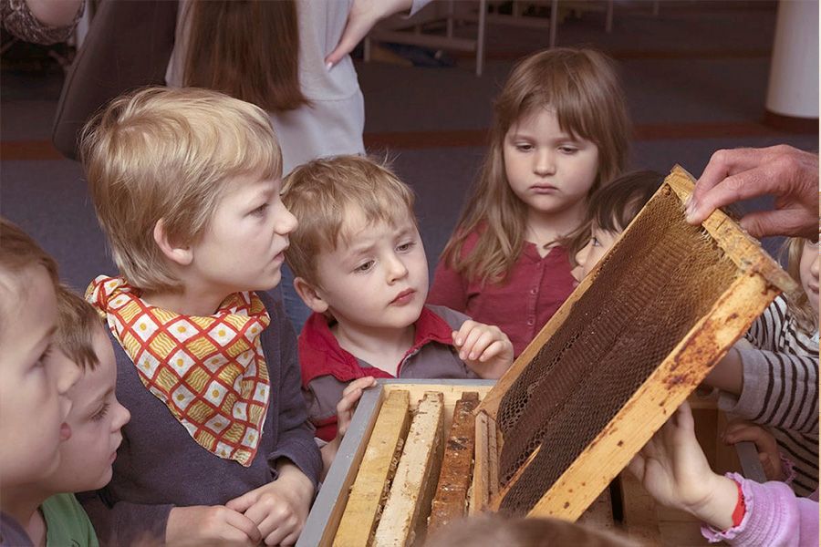 Bienenunterrichtsstunden für Schüler