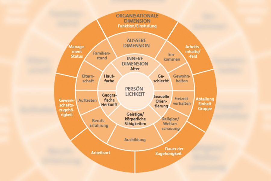 Diversitätsdimensionen in Organisationen