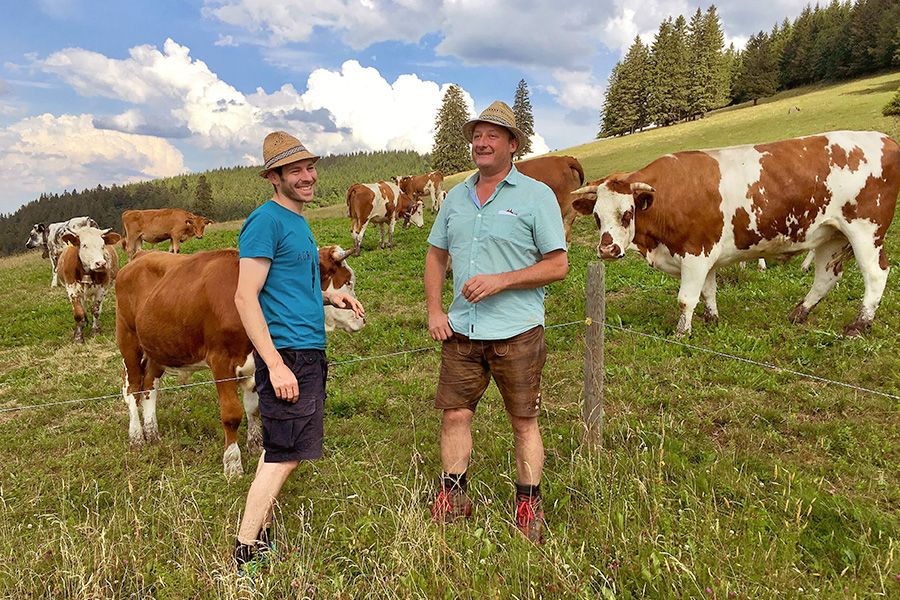 badenova Innovationsfonds-Projekt Cowfunding