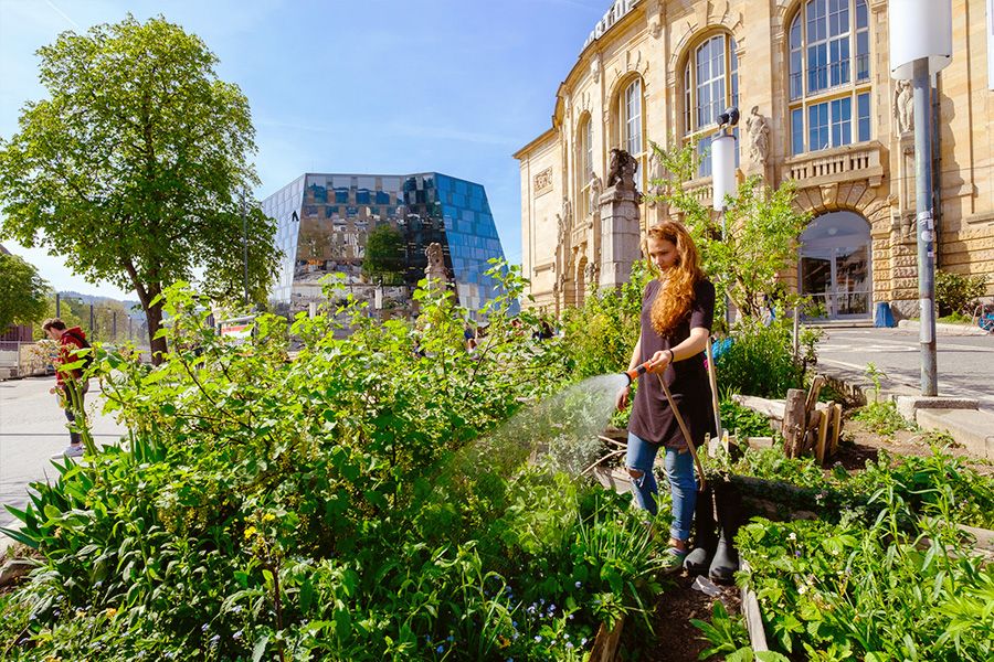 Freiburg, Vancouver oder Wien? Welche ist die wahre Green City?