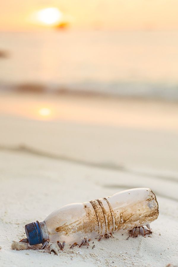 Plastikflasche am Strand