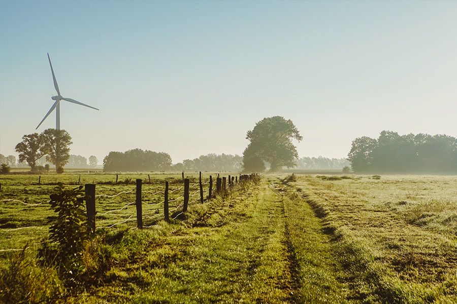 Windrad auf dem Feld