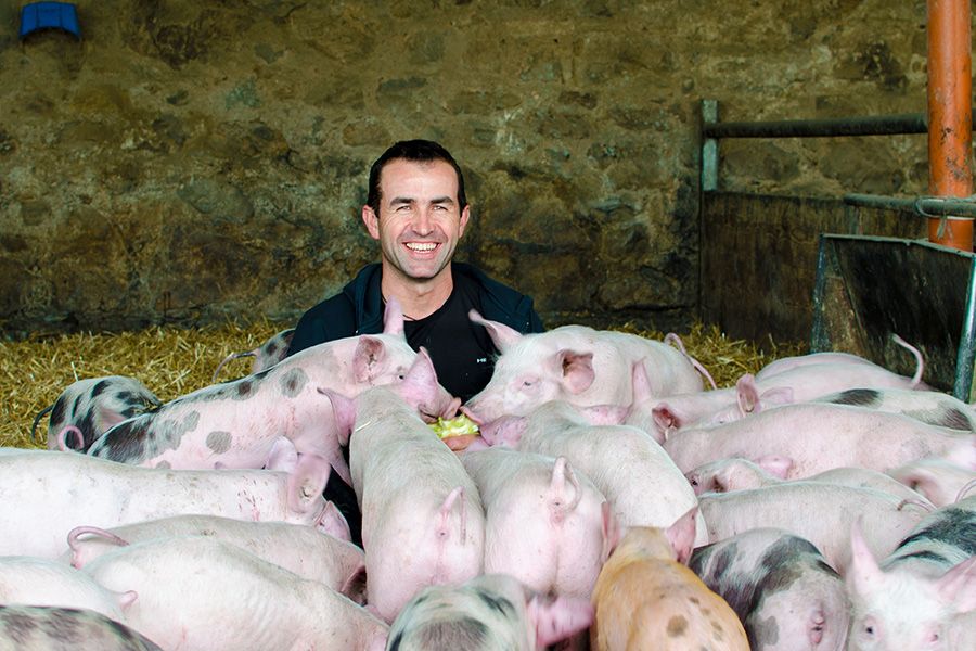 Bernd Hug mit seinen Schweinen auf dem Baldenweger Hof