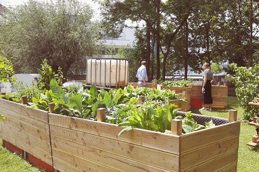 Blühendes Industriegebiet – ein Urban Gardening Projekt