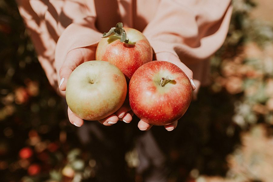 Nachhaltige Ernährung – Tipps, Alternativen und mehr