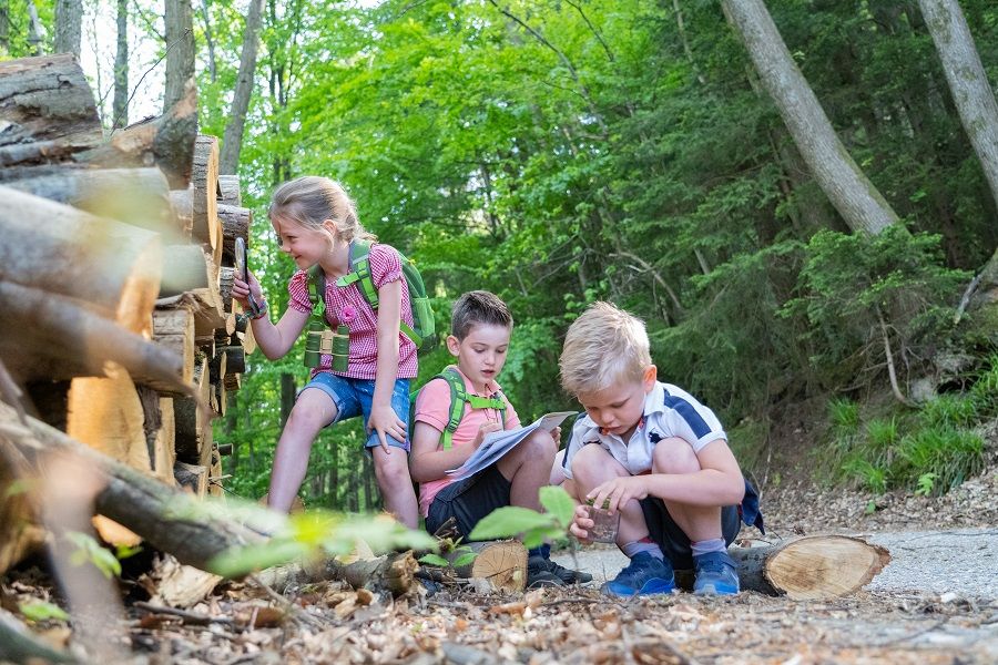 Kinder beim Entdecken der Natur in einem Waldstück.