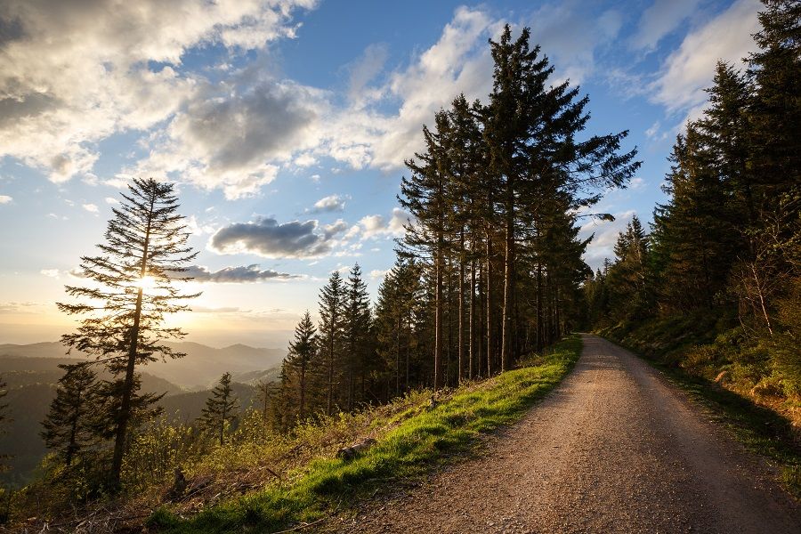 Schwarzwald entdecken – Heimat erleben!