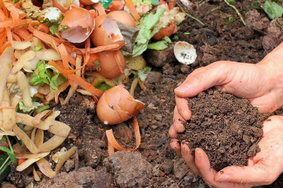 Aus Bioabfall wird wertvoller Kompost