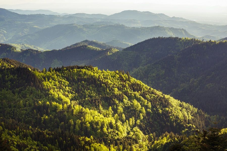 Landschaft des Naturparks Schwarzwald.