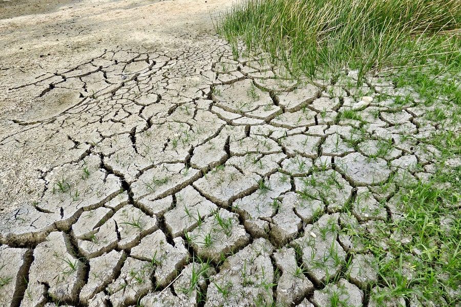 Dürre als Folge des Klimawandels