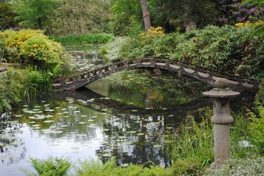 Teich mit Brücke