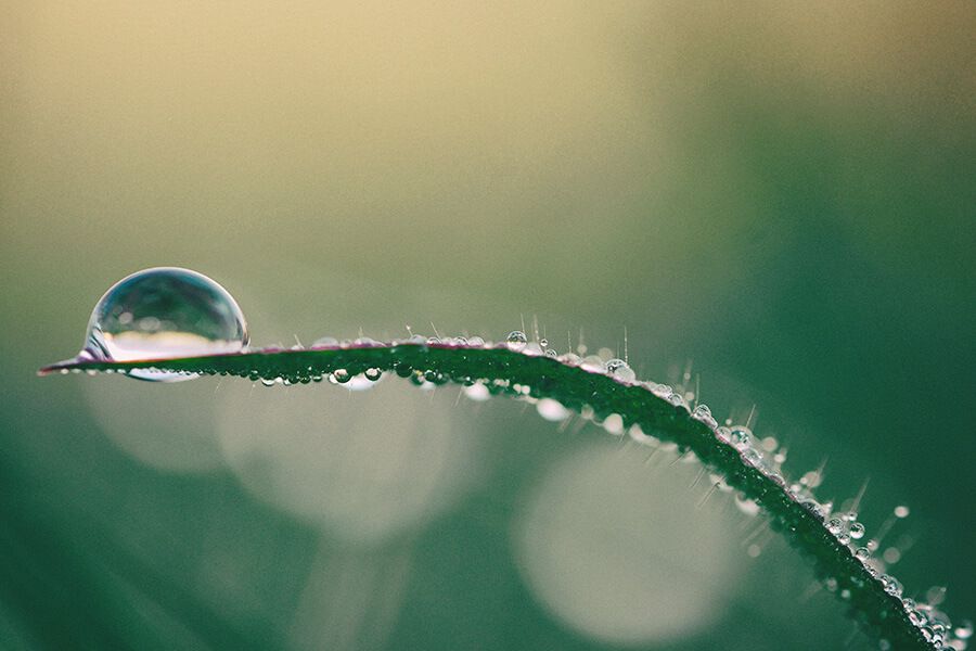 Was ist virtuelles oder verstecktes Wasser?