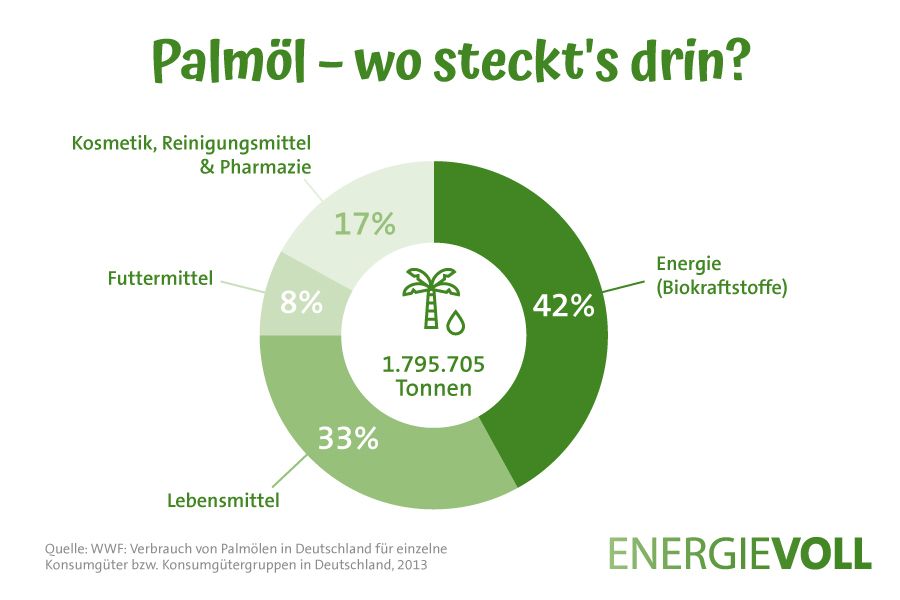Infografik über den Verbrauch von Palmöl in Deutschland für einzelne Konsumgüter