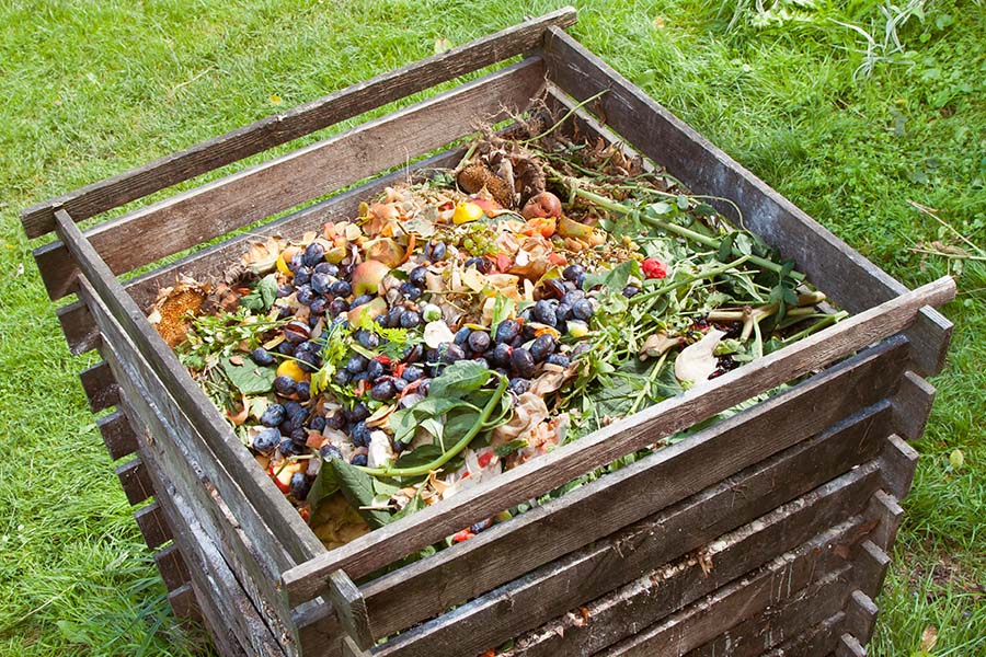 Kompost: So kompostierst Du richtig