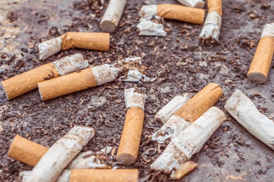 Zigarettenstummel: Wie schädlich sind Kippen für die Umwelt?