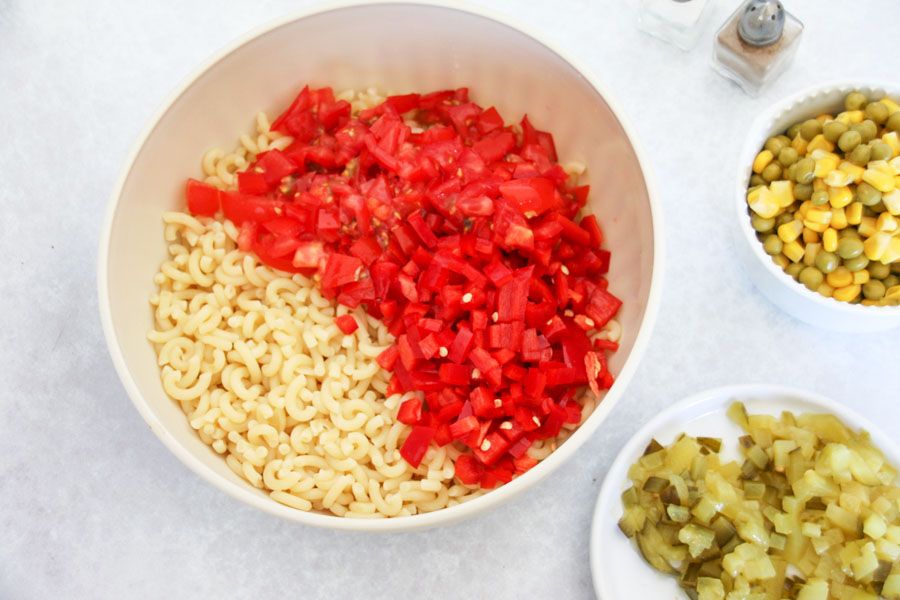 Paprika, Tomaten und Lauchzwiebeln klein schneiden.