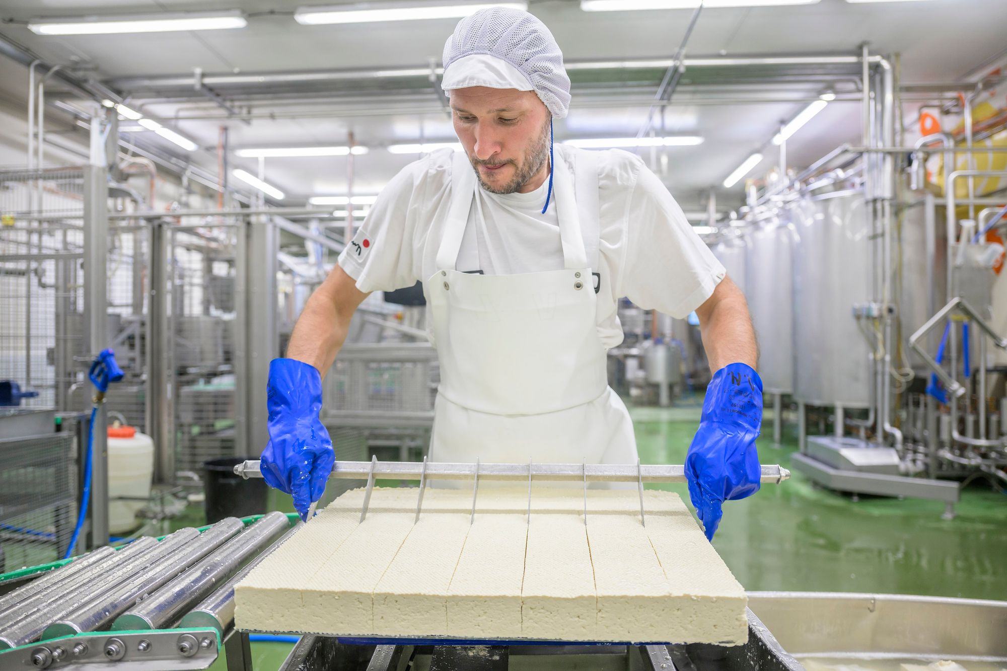 Nachhaltig, erfolgreich und innovativ - Bio-Tofu aus Freiburg
