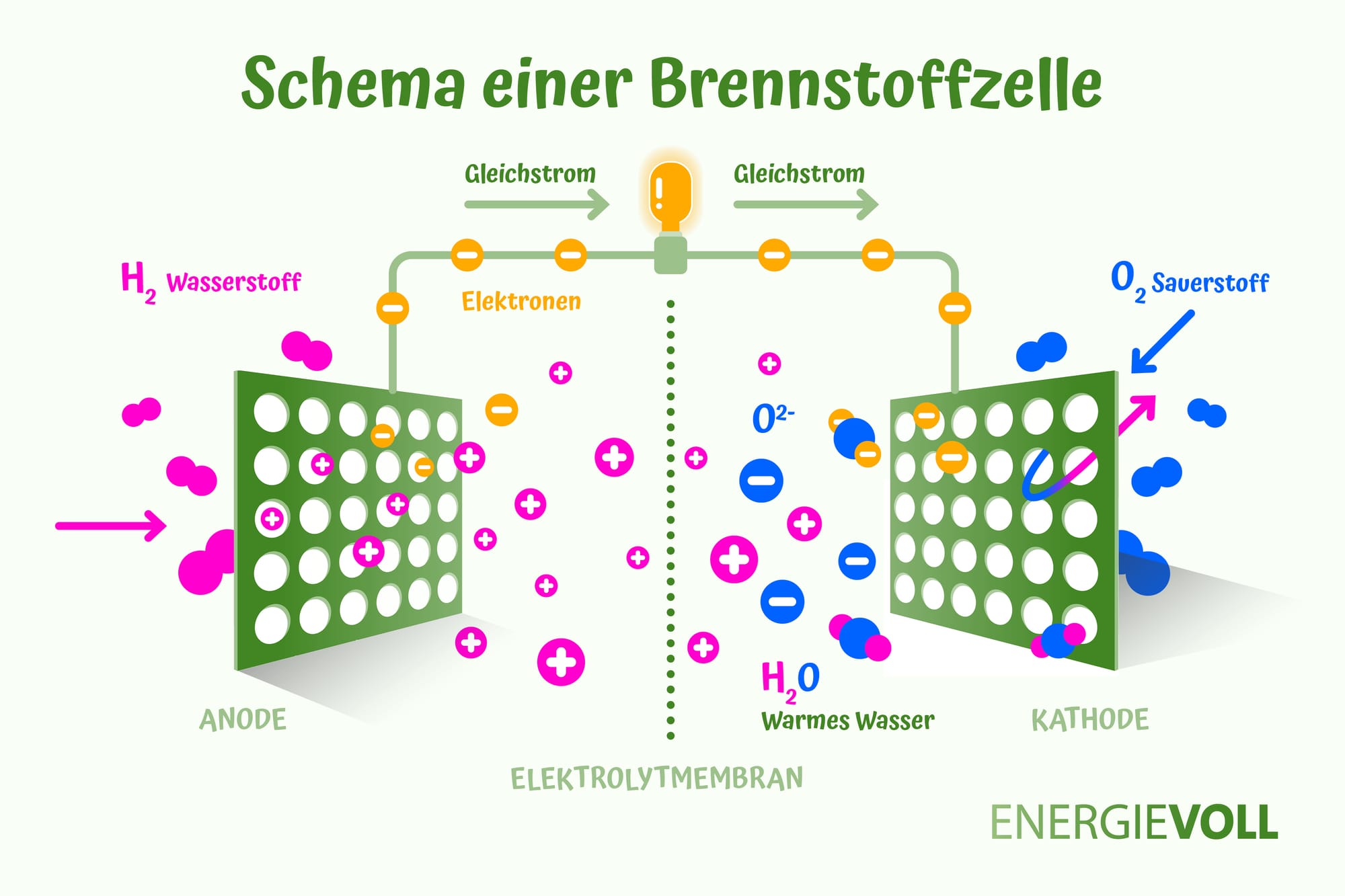 Infografik: Schema einer Brennstoffzelle
