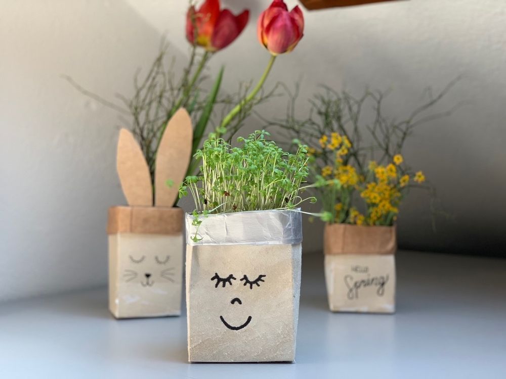 Tetrapack Upcycling: Blumenvasen aus Milchtüten basteln