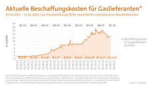 Infografik zu den aktuellen Beschaffungskosten für Gaslieferanten
