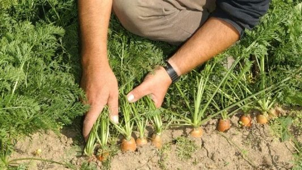 Nachhaltigkeitswerte als Kapitalrendite auf Aktien