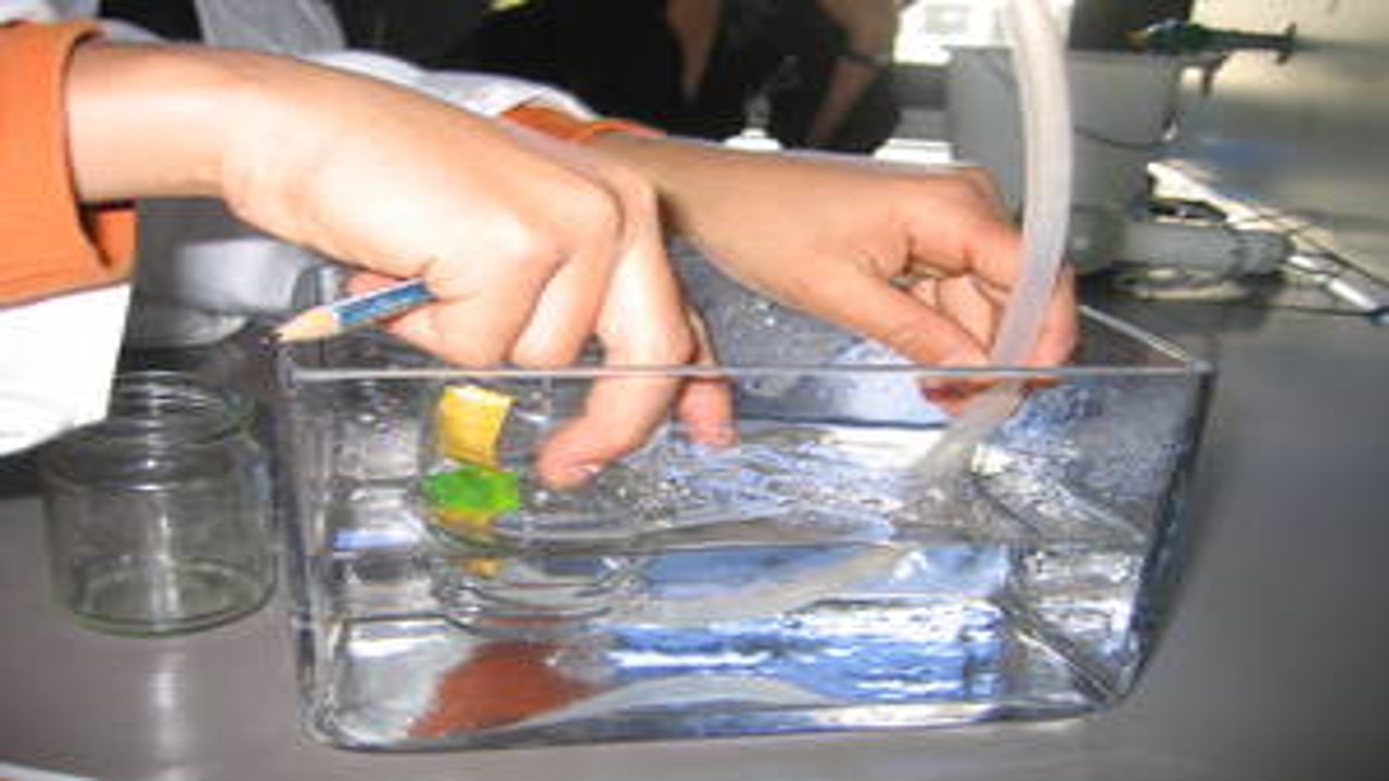 Wie unser Wasser gesund bleiben kann