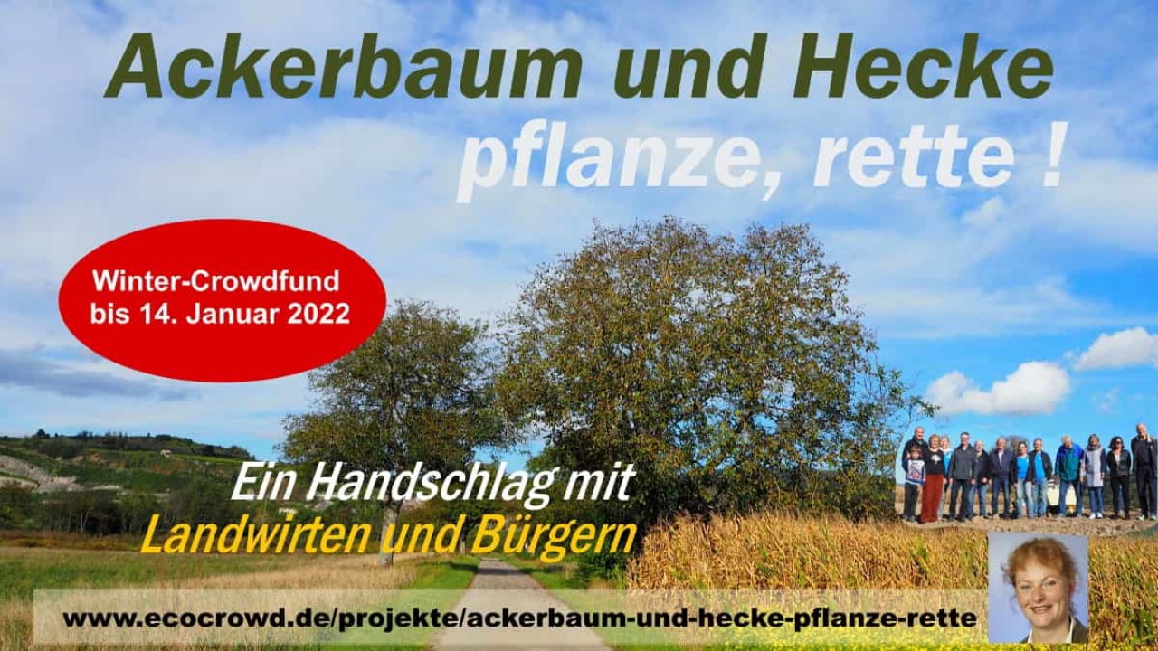 Nachhaltigkeit säen und ernten - Private Honorierung ökologischer Maßnahmen bei landwirtschaftlich genutzten Böden
