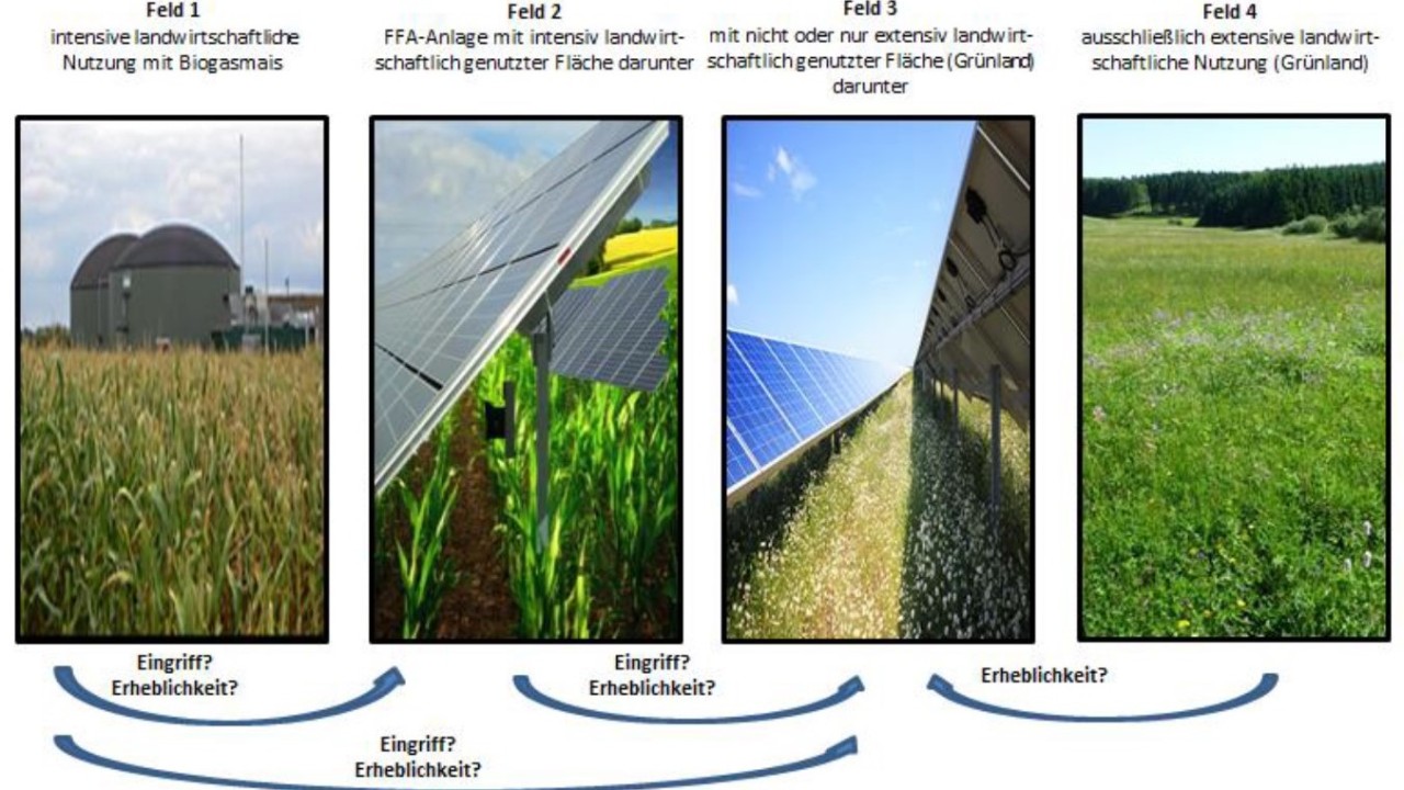 Ein Energieprivileg für Photovoltaikfreiflächenanlagen? Eine rechtliche, betriebswirtschaftliche und landschaftsökologische Untersuchung.