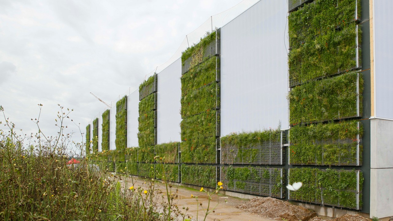 	Grünwandfassade - Entwicklung eines biodiversen, wandgebundenen Fassaden­grünwandsystems für Gewerbe- und Industriebauten zur vor Ort Regenwasser­reinigung bei reduziertem Flächenverbrauch