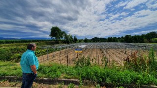 Vino PV Aufständerung Munzingen