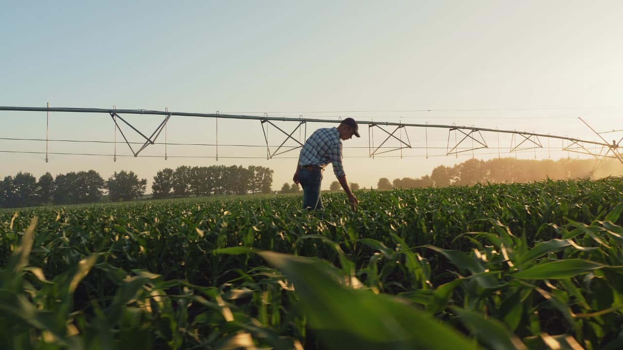 Zukunftsorientiertes Wasserressourcenmanagement mit Schwerpunkt landwirtschaftliche Beregnung: - ein partizipativer Rahmenplan für das Grundwassersystem der Staufener Bucht