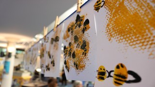 badenovas Bienenengagament in Schulen