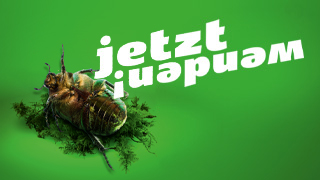 Wärmewende-Motiv mit dem Käfer auf dem Rücken und dem Wende-Icon
