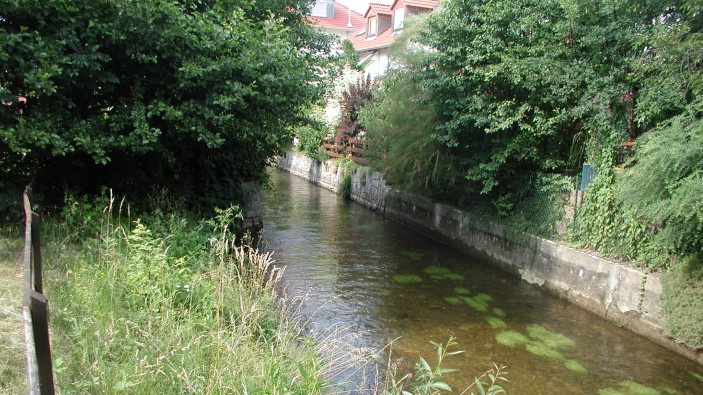 Untersuchung darüber, wieviel Wasser im Mutterfluss bleiben muss und wieviel für Wasserkraftnutzung ausgeleitet werden darf