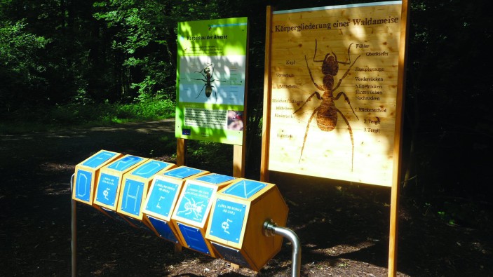 Erlebnispfad unter dem Motto "den Wald mit den Augen einer Ameise entdecken"