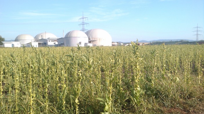 Testanlage für das Artor®-Verfahren, das Gärreste von Biogasanlagen aufbereitet und die Abgase aus dem Biogas-BHKW reinigt.