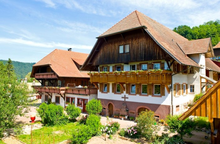 neues Kälte- und Wärmekonzept für großen Geflügelhof mit Nudelfabrik, Holzvergaser bilden die Grundlage
