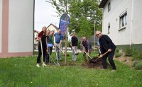 Baumpflanzen mit Bürgermeister Breig (blaues Hemd) und dem Dorfverein Offnadingen.