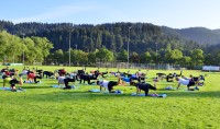 Sport vor idyllischer Kulisse: PTSV Jahn in Freiburg