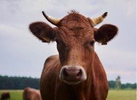 Einladung zum Abschluss-Kolloquium