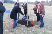 Drei junge Bäume wurden in Bad Krozingen gepflanzt