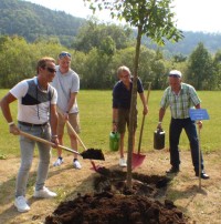 Hermann Acker, Oliver Hauer, Martin Schweitzer und Roland Weis (von links) beim Pflanzen.