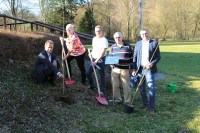 Drei junge SC Bäume haben ihren neuen Platz auf dem Vereinsgelände desTurnverein Oberndorf gefunden