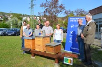Stolz präsentieren die Lörracher Imker ihre ersten Bienenvölker auf dem badenova Gelände.