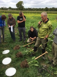 Nitrat-Verlagerung in das Grundwasser verringern durch „Regenerative Landwirtschaft“