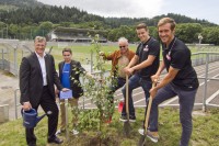 Für jedes Tor einen Baum